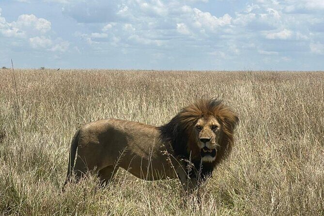 9 Days 8 Nights Walking Safari - Frequently Asked Questions