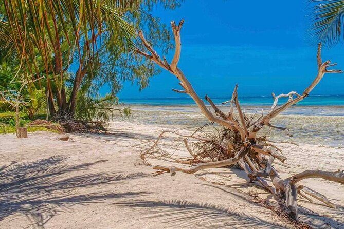 9-Days Bush and Beach Private Experience - A Detailed Look at the Itinerary