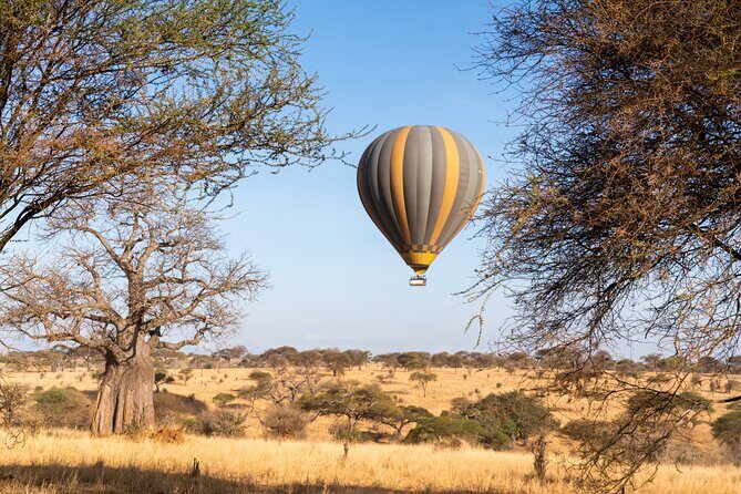 9 Days Great Migration Safaris with Kojuu Safaris Africa-Luxury. - Final Thoughts