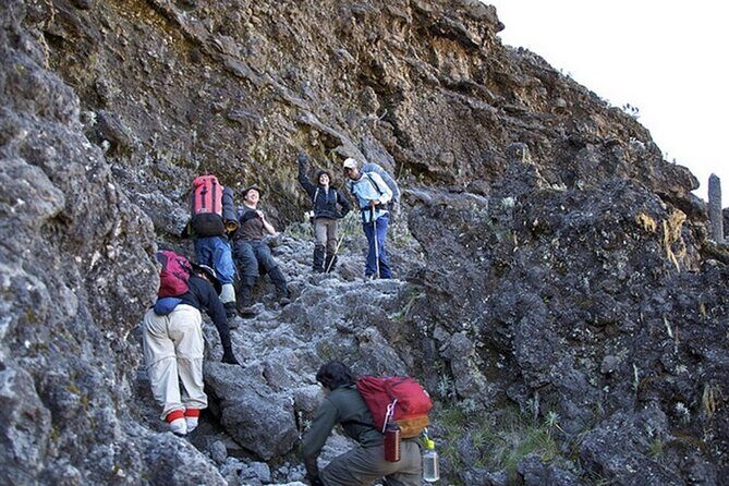 9 Days Kilimanjaro Hiking or Climbing via Northern Circuit route - Practical Considerations: Transportation, Pricing, and Preparation