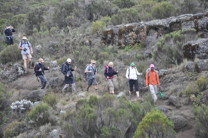 9 Days Mount Kilimanjaro Climb Machame Route - Day 3: From Machame to Shira Camp
