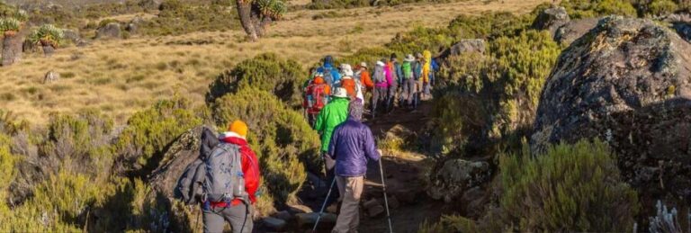 9 Days Mount Kilimanjaro Climbing Northern Circuit Route - The Itinerary Breakdown: What You Can Expect Day-by-Day
