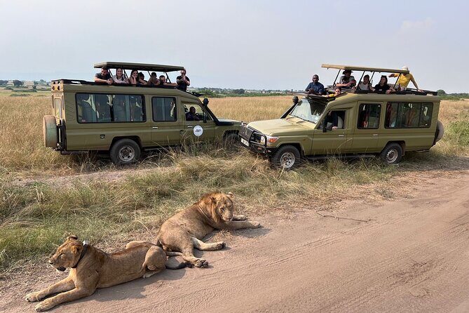 9 Days Uganda Wildlife Safaris, Gorilla Trekking & Hiking - Practical Considerations