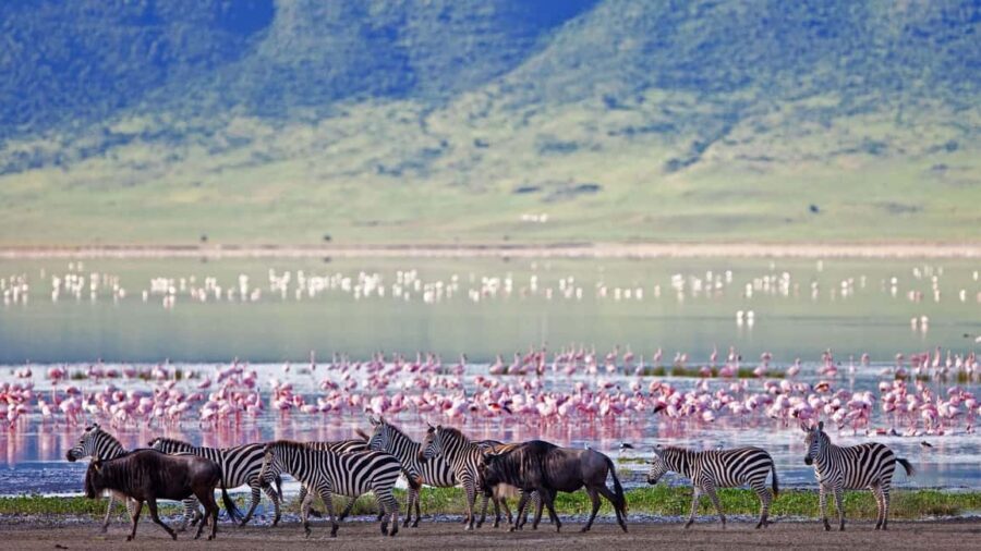 A 5-Day Big Five Safari in Tanzania