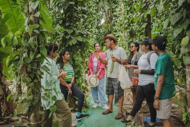 A Culinary Journey with locals in Chorao Island - The Authenticity and Atmosphere