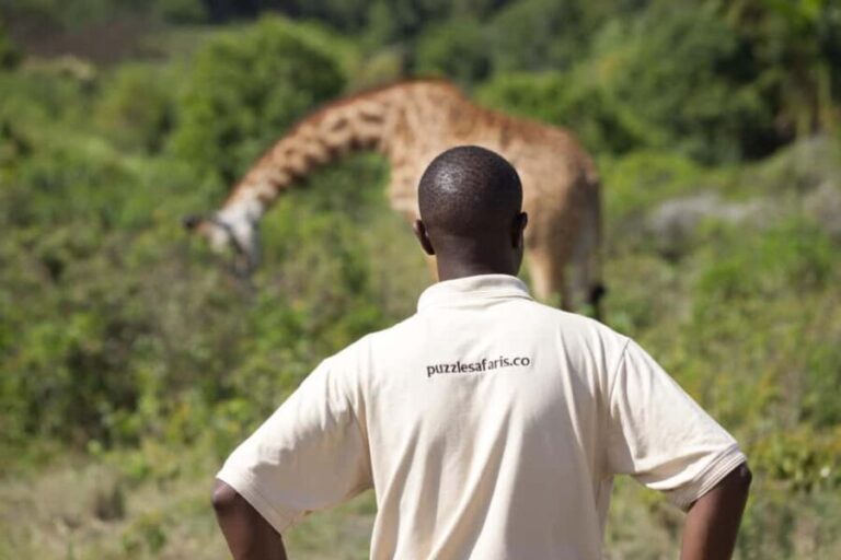 A Day in Arusha National Park - Single-Day Trip - Transportation, Price, and Value