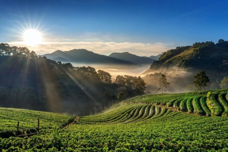 A Day in Munnar: Nature, Culture, and Local Flavor - Exploring Old Munnar and Local Life