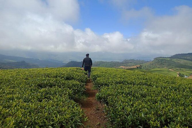 A Day in Nuwara Eliya: Sights & Local Delights - Who Will Enjoy This Tour?