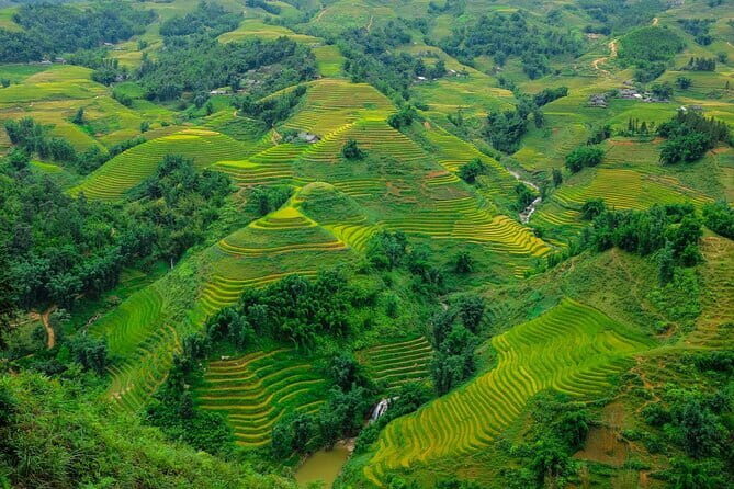 A day Trek to Rice Field in LaoChai-Tavan village-MuongHoa valley - A Closer Look at the Reviews