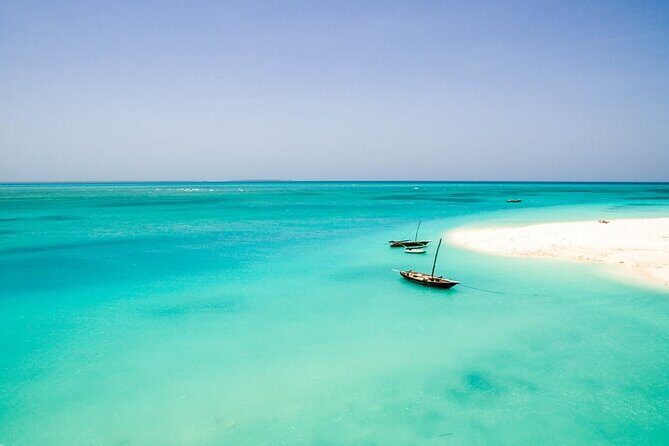 A Half Day Private Dolphins And Snorkeling Tour To Mnemba Island - Price and Value Analysis