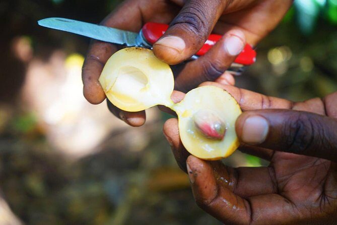 A Half Day Private Tour To Spice Farm - Final Thoughts: Is This Tour Right for You?