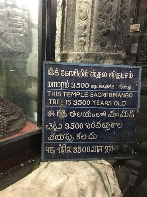 A Private Trip to Kanchipuram & Mahabalipuram from Chennai - The Experience and Its Value