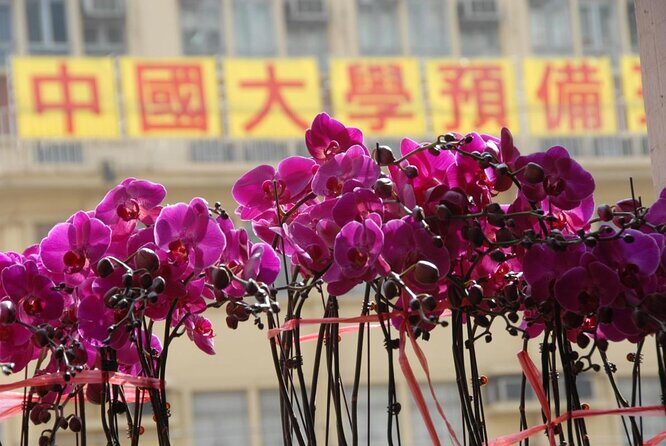 A Taste of Hong Kong: Private Tour With Locals - What Could Be Better
