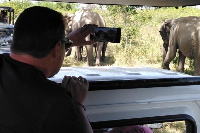 A Udawalawa Park safari, Tour from Colombo/Galle- (All inclusive) - What’s Included and How It Adds Up