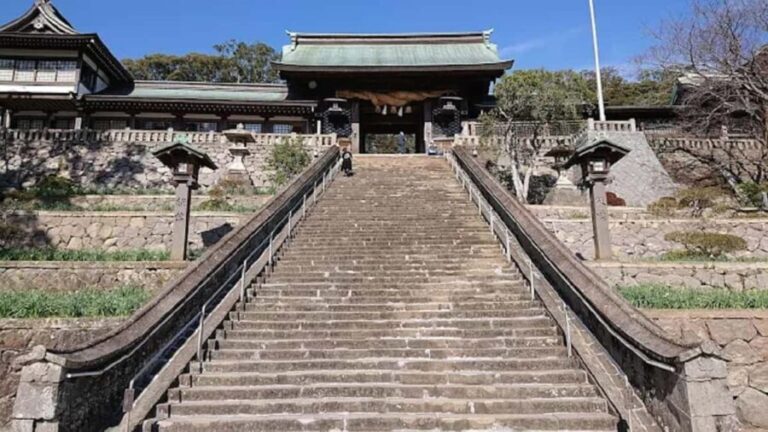 A Walk Through Suwa Shrine & Kofuku-ji Temple - Who Should Consider This Tour?