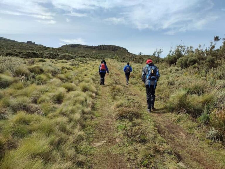Aberdare Highlands: North to West Trekking Experience - What Makes This Trek Worth It?