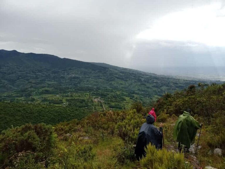 Aberdare National Park: 3-Day Guided Hiking Tour - An In-Depth Look at the Aberdare National Park 3-Day Tour