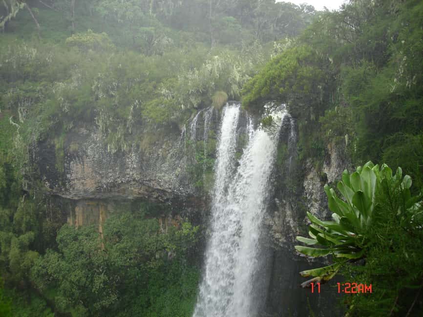 Aberdare National Park Day Trip from Nairobi - Key Points