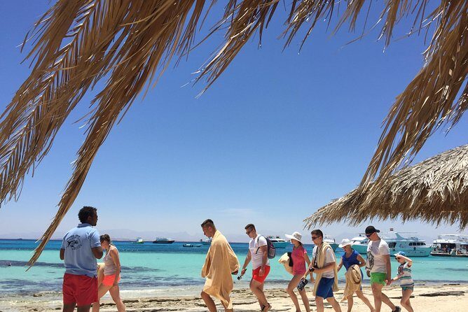 Abu Dabab Swim with Turtles Private tour - What to Expect on the Tour