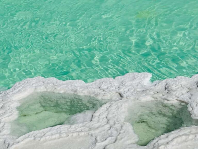 Abu Dhabi: Fossil Dune, Salt Lake and Camel Race Track Tour - Authentic Experiences and Visitor Insights