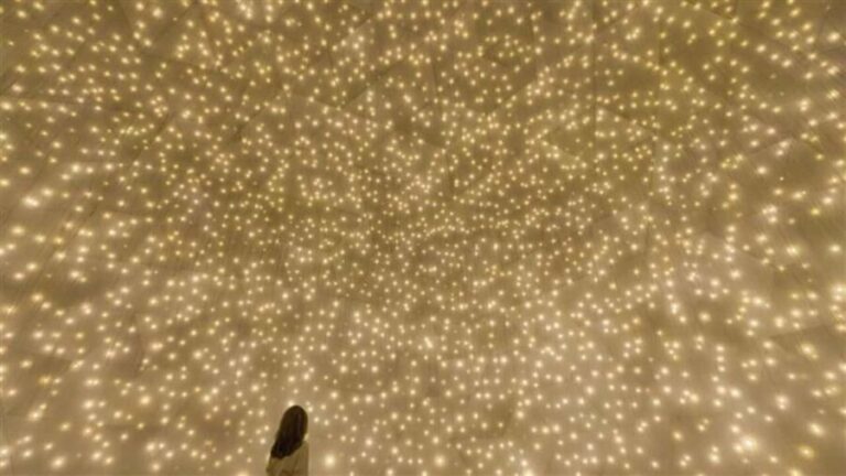 Abu Dhabi: teamLab Phenomena Entry Ticket - The Experience for Different Visitors