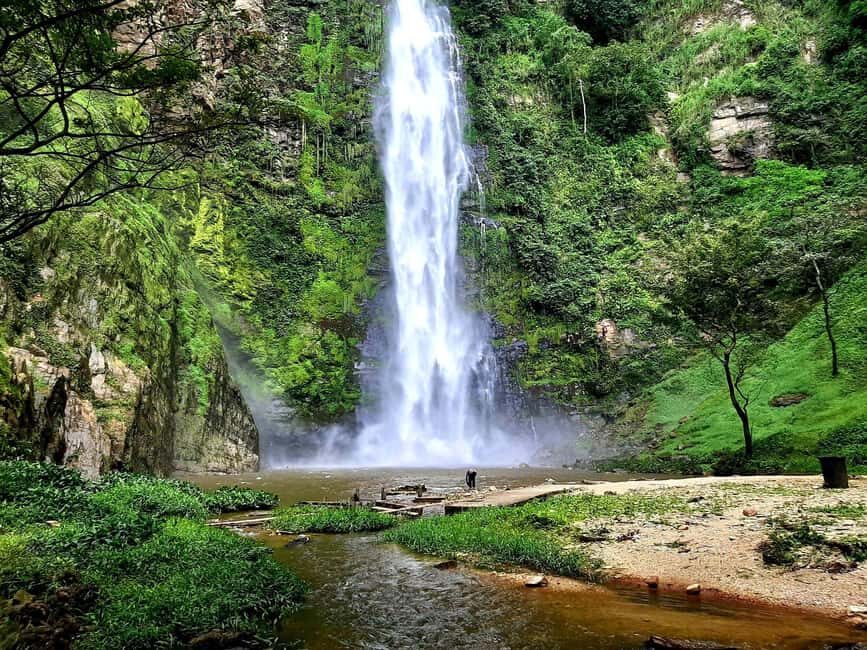 Accra: Wli falls & Mona Monkey Sanctuary - Who Will Love This Tour?