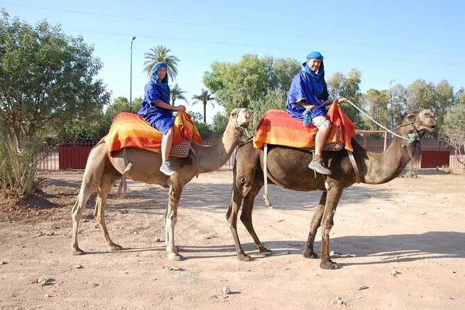 activities in Marrakech camel ride tour in palm grove - Why the Price is Right for the Experience