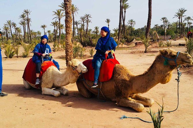 Activities in Marrakech: Camel ride tour - Key Points
