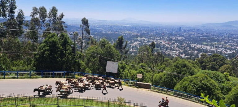 Addis Ababa Essentials: Flexible Full-Day City Sightseeing - Authentic Local Experiences and Cultural Touches