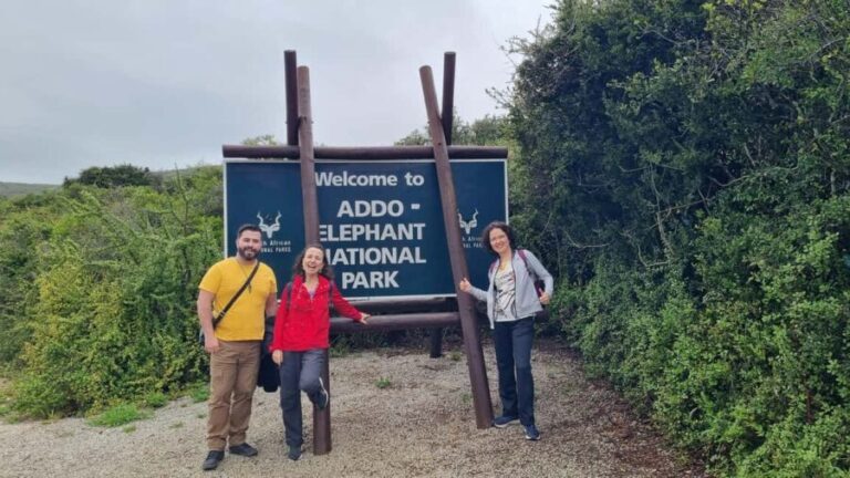 Addo Elephant National Park Private Full-Day Safari - Authenticity and Tips for a Better Experience