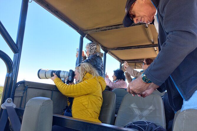 Addo Elephant Park Full day big 5 Safari - The Guides and the Experience