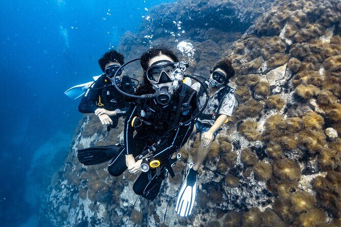 Advanced Adventurer - 2 days ( Advanced Open Water) - An In-Depth Look at the Koh Tao Advanced Adventurer Course