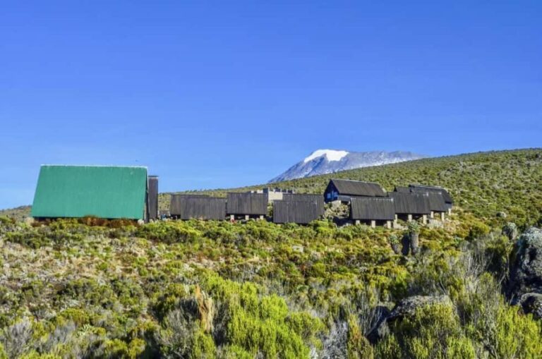 Adventure 8-Day Kilimanjaro Expedition and Chemka Hot Spring - What Travelers Can Expect