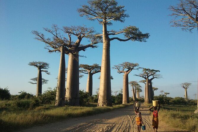 Adventure Tour West Madagascar | Nature and Discovery - FAQ