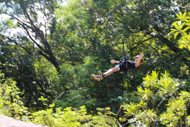 Aerial Cable Trail in Hazyview - What to Expect on the Trail