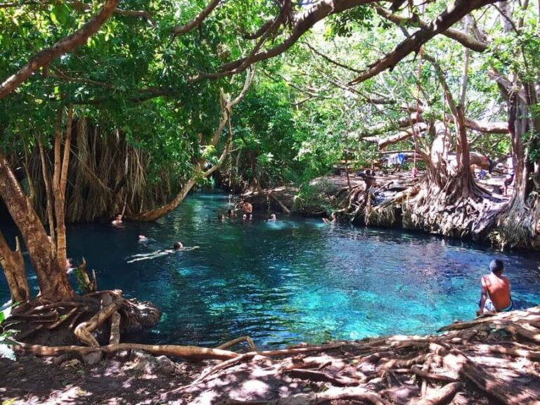 Affordable Day Trip Tour to Chemka Hot Springs from Moshi - The Value of the Experience