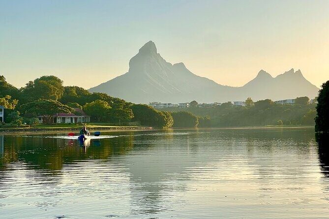 Afternoon Guided Kayak Activity on the Tamarin River - Wildlife and Nature Encounters
