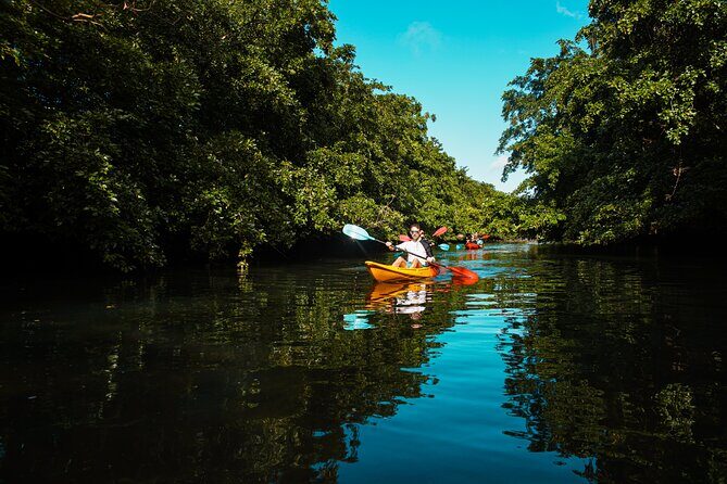 Afternoon Guided Kayak Tour on the Tamarin River - Final Thoughts