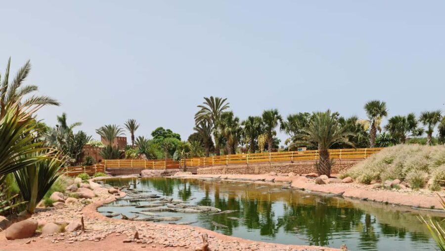 Agadir: Crocoparc Skip-the-Line Entry Ticket - Who Would Enjoy Crocoparc the Most?