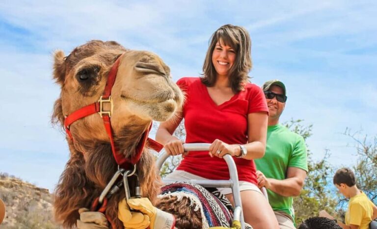 Agadir/Taghazout: Camel Rides with Tea Drink and Transfers - Practical Details and Value