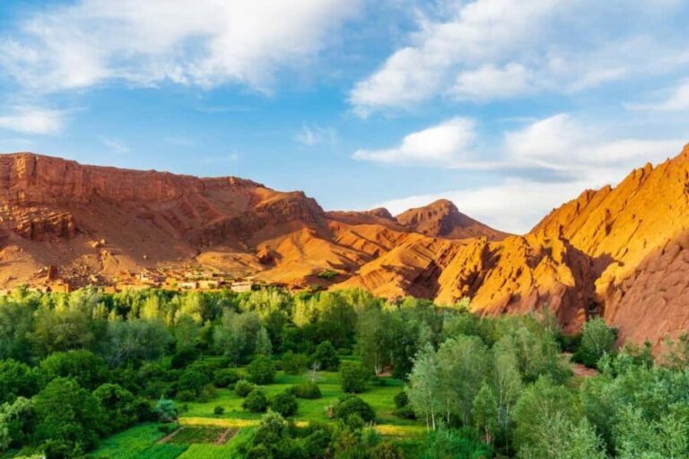 Agadir/Taghazout: Paradise Valley Atlas Mountains Day Trip - What’s the Overall Value?