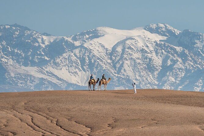 Agafay Camel Ride & Ourika Valley in Atlas mountains - What You Can Expect: Transportation, Guides, and Food