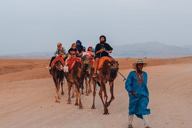 Agafay Desert Adventure: Quads, Camels, and dinner show - The Sum Up: Who Is This Tour For?