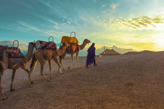 Agafay Desert-And Atlas Mountains & Camel-Trek-Day Trip From Marrakech - What Makes This Tour Stand Out?