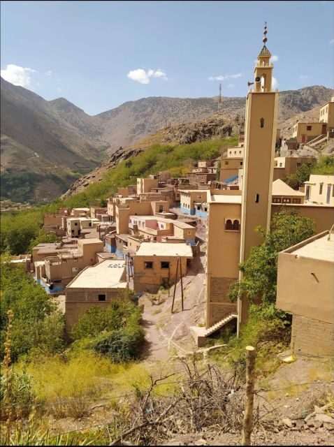Agafay Desert & Atlas Mountain & Camel Ride Day Trip & Lunch - Real Traveler Insights and Tips