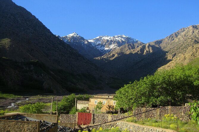 Agafay Desert, Atlas Mountains and Camel Ride Trip from Marrakech - What Makes This Tour Stand Out?