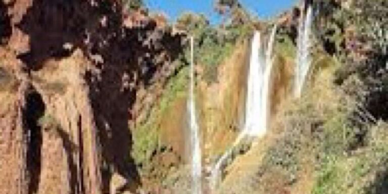 Agafay desert & Atlas Mountains full day tour from Marrakech - What’s Included and What to Consider