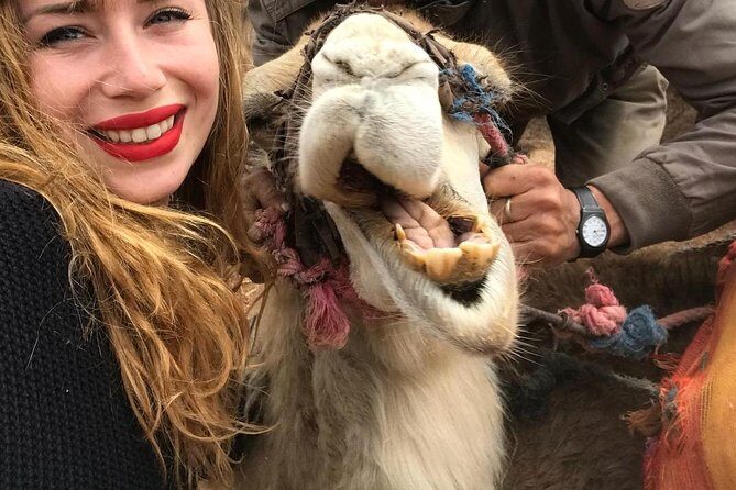 Agafay Desert: Camel ride, dinner and fire show - Authentic Encounters and Real Feedback
