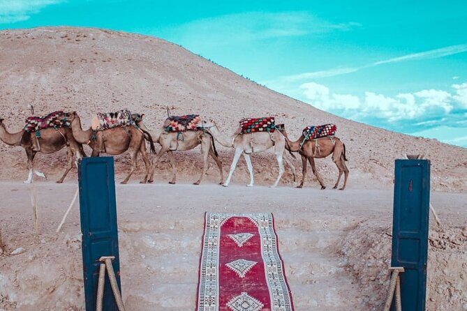 Agafay Desert Camel Ride from Marrakech with Dinner & Live Music - Why This Tour Delivers Value