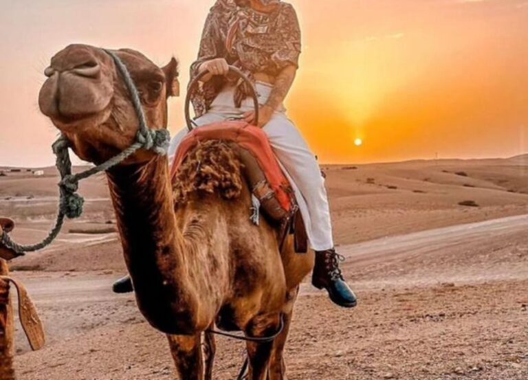 Agafay Desert Camel Ride & Sunset & Dinner - Sunset and Evening Activities
